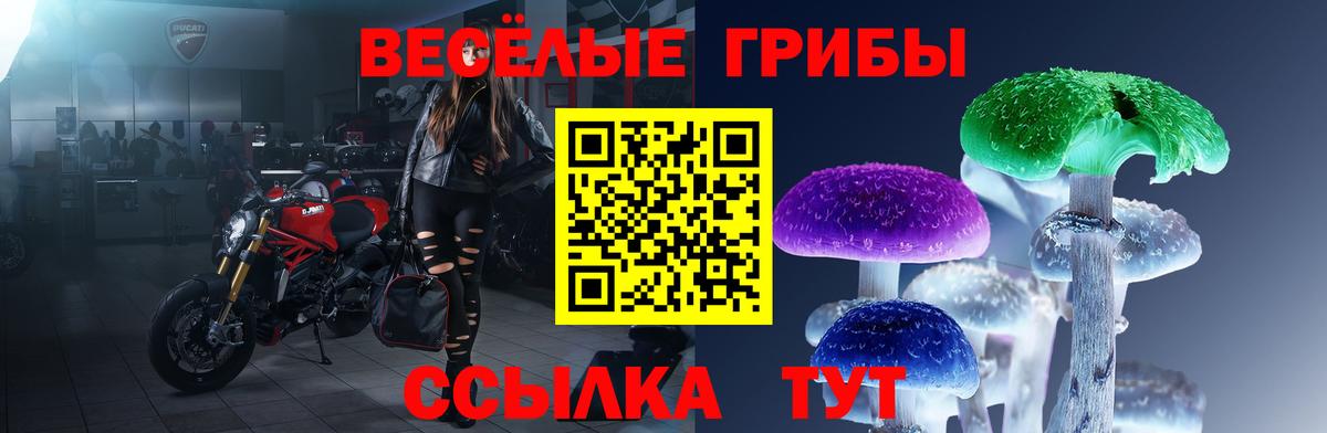 Псилоцибиновые грибы Psilocybe  Вход с VPN  Галлюциногенные грибы GOLDEN TEACHER  Вичуга 